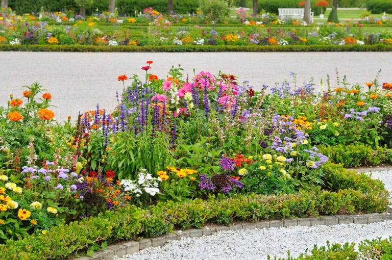 parterre fleurs