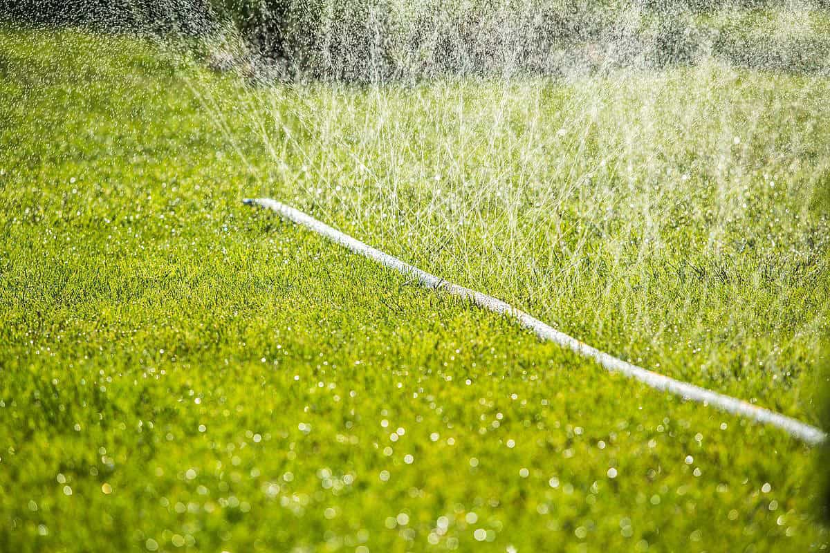 micro irrigation