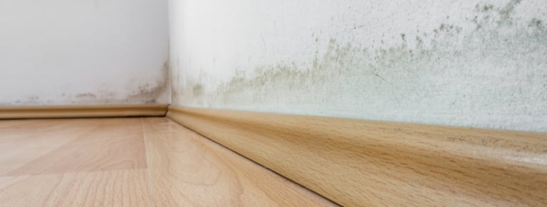 comment identifier problemes humidite remontees capillaires