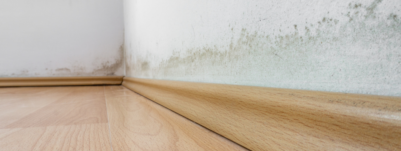 comment identifier problemes humidite remontees capillaires