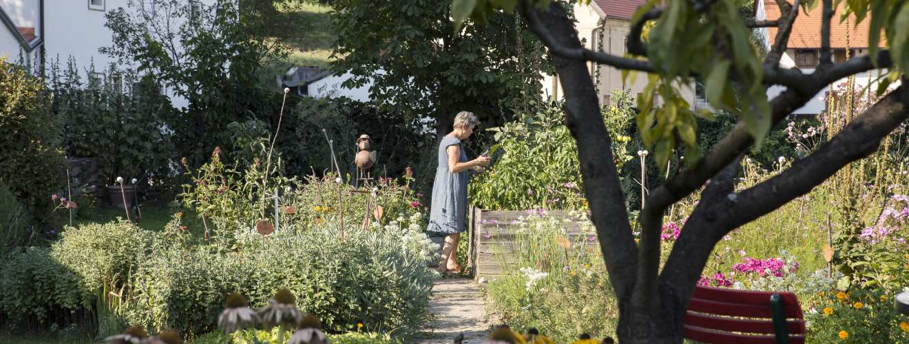 jardin ecologique