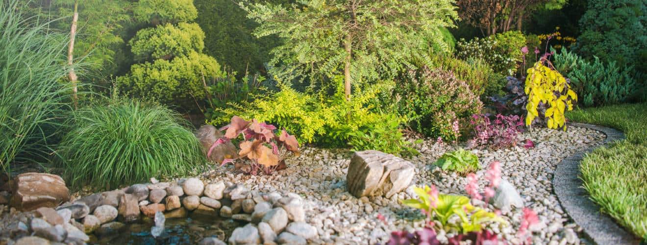 jardin sans entretien