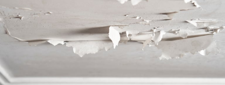 enduit plafond qui se decolle causes diagnostics