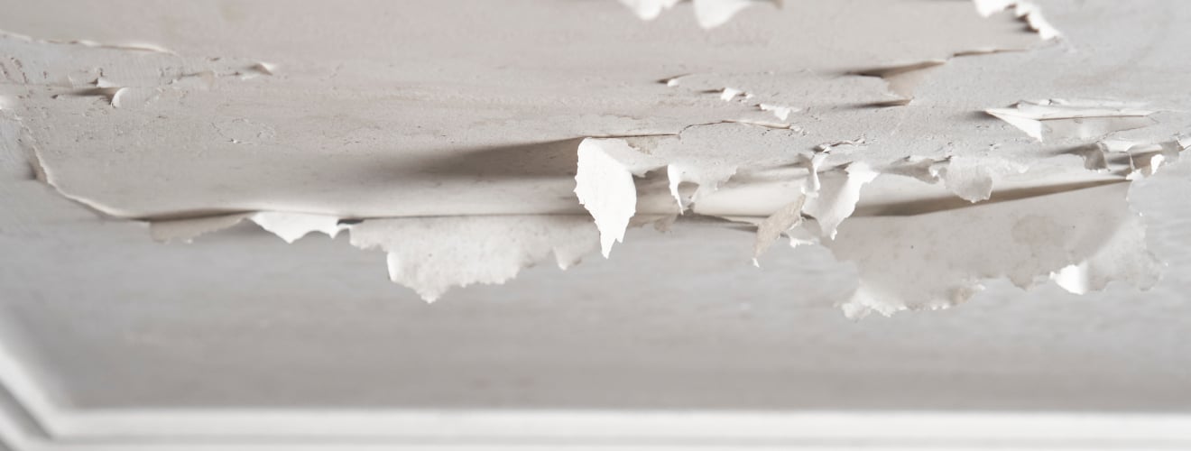 enduit plafond qui se decolle causes diagnostics