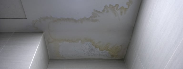 plafond abime degats des eaux