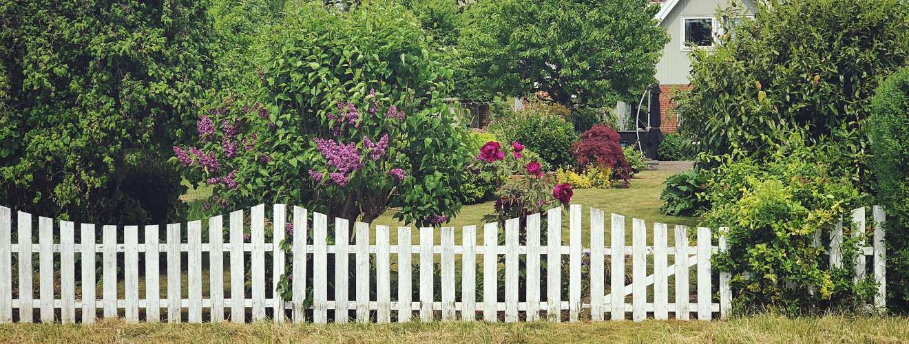 cloture jardin maison