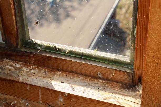 fenetre toit remplacer joints fermeture parfaite