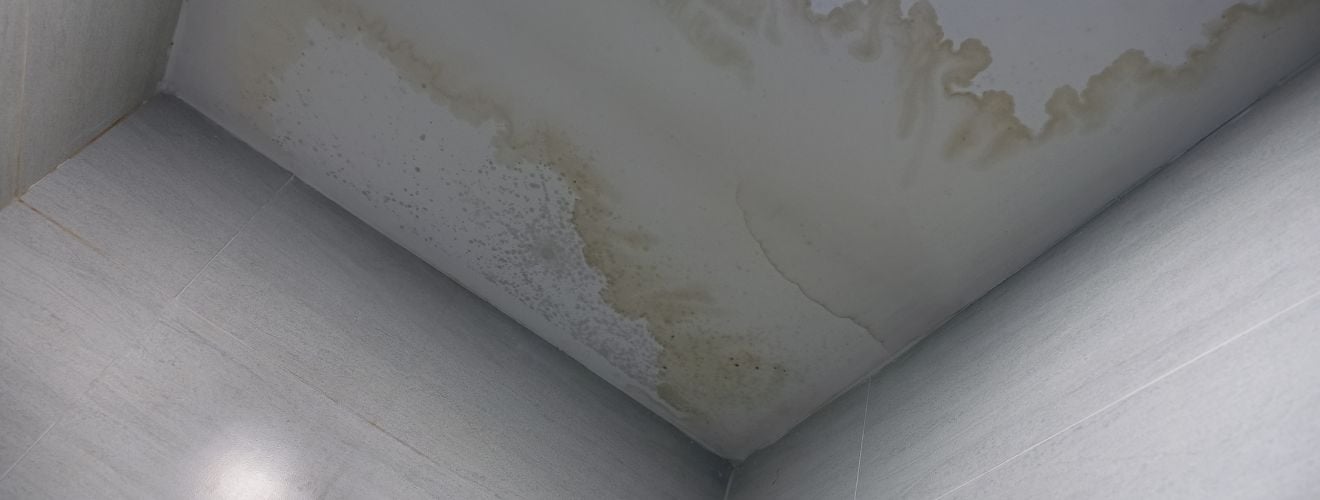 fuite plafond toiture