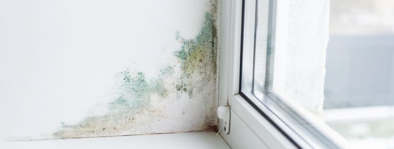 humidite mur fenetre