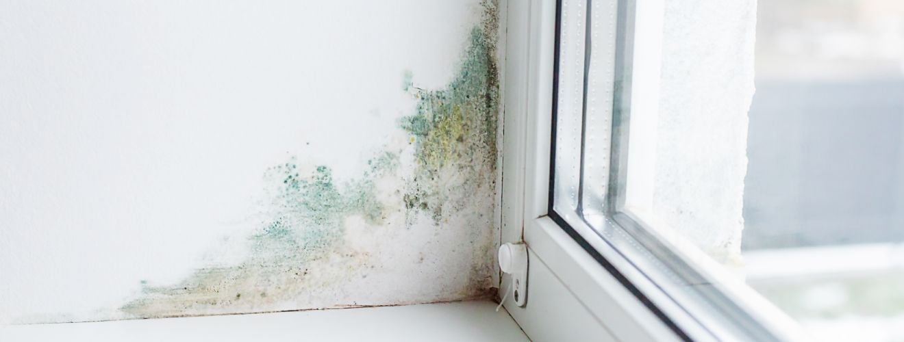 humidite mur fenetre