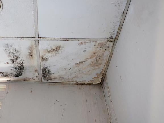 humidite murs diagnostic traitement maison ancienne