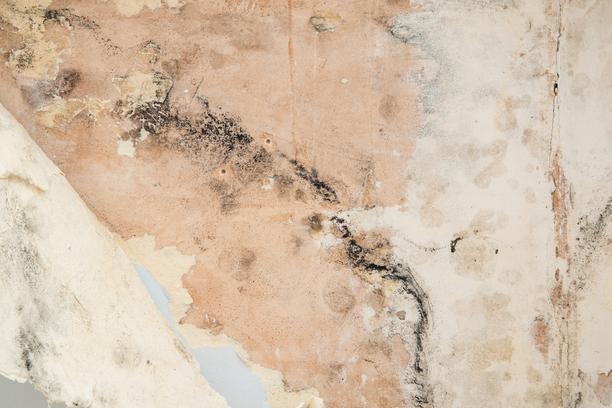 renover chambre humide isolation thermique