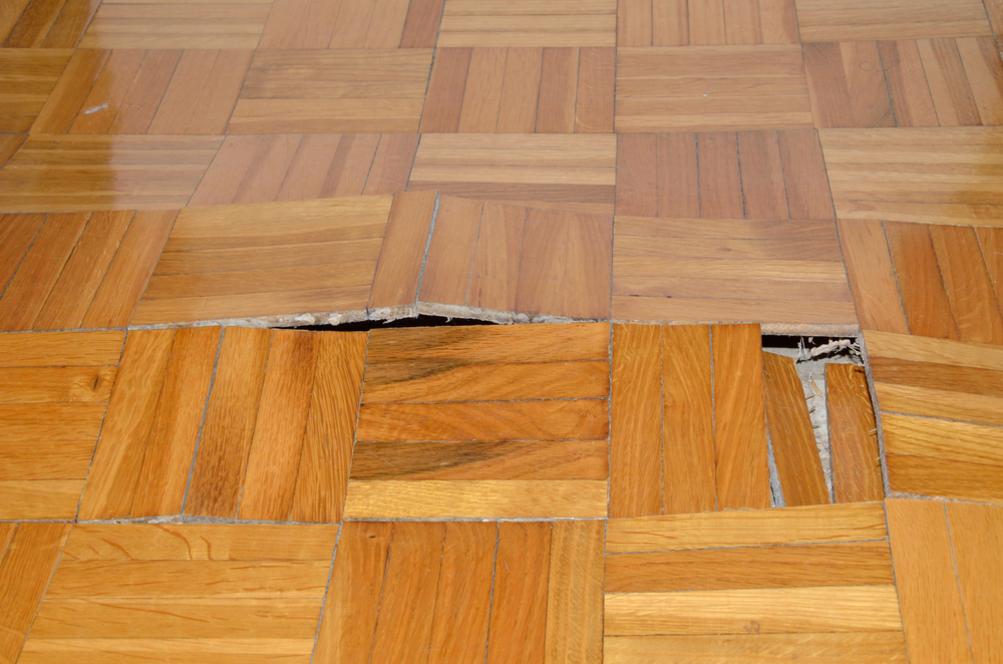 renover parquet massif traiter zone endommagee humidite