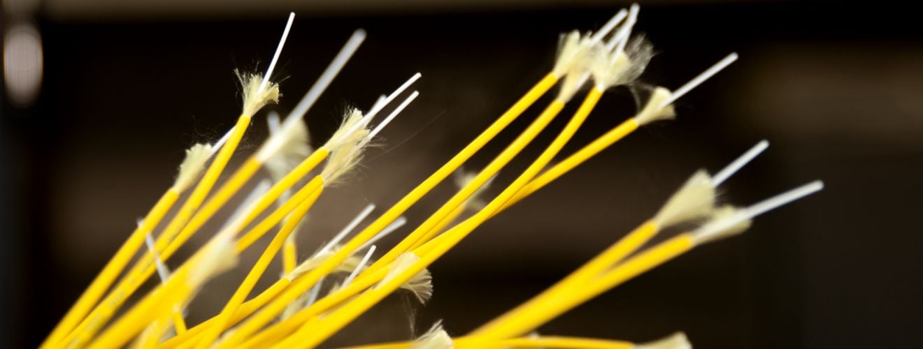 cables fibres optiques coupe