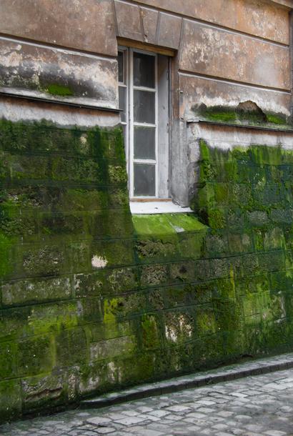 facade salie pluie causes solutions durables