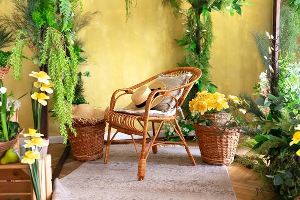 traiter meuble rotin infeste termites