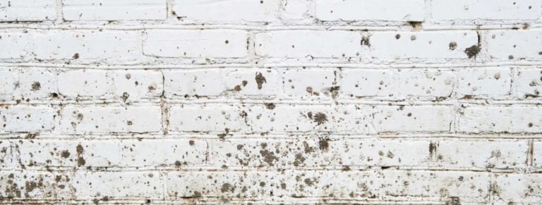 Taches sur un mur extérieur : identifier l&rsquo;origine avant de rénover