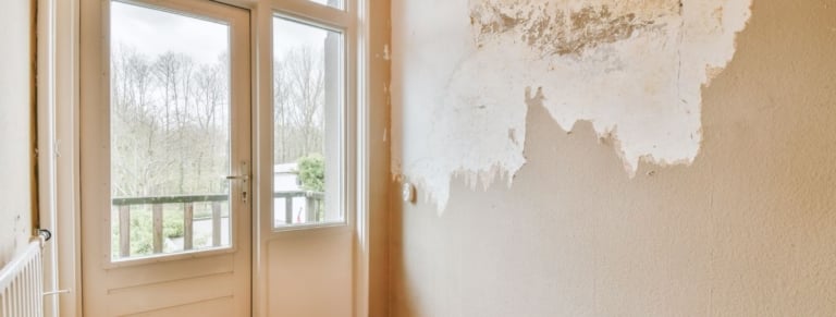 Peinture intérieure dégradée : responsabilités et solutions techniques