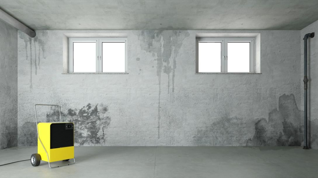 infiltration cave traiter pied mur exterieur