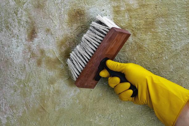 odeur urine incrustee beton assainir garage