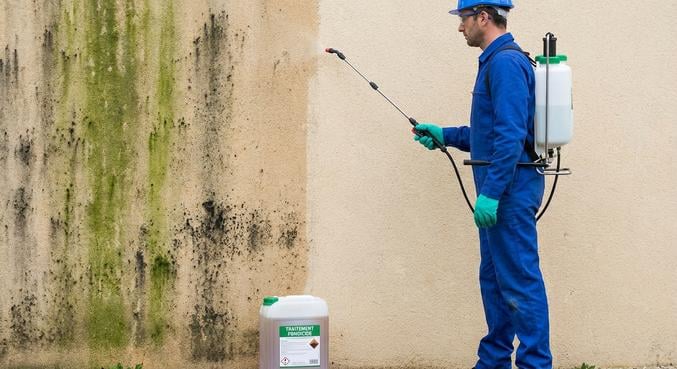 taches noires facade pluie causes solutions