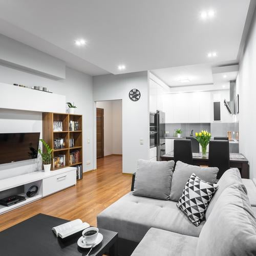 appartements neufs salon cuisine ouverte