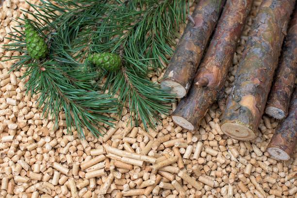 bois chauffage printemps moins cher