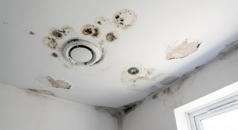 Moisissure au plafond de salle de bain : comprendre les causes et appliquer des solutions durables