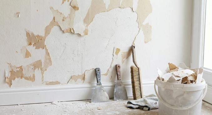 papier peint arrache placo abime peinture