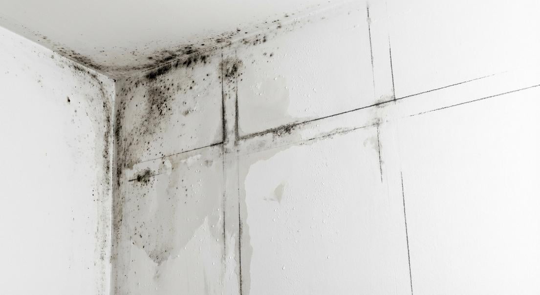 traces noires murs interieurs ponts thermiques