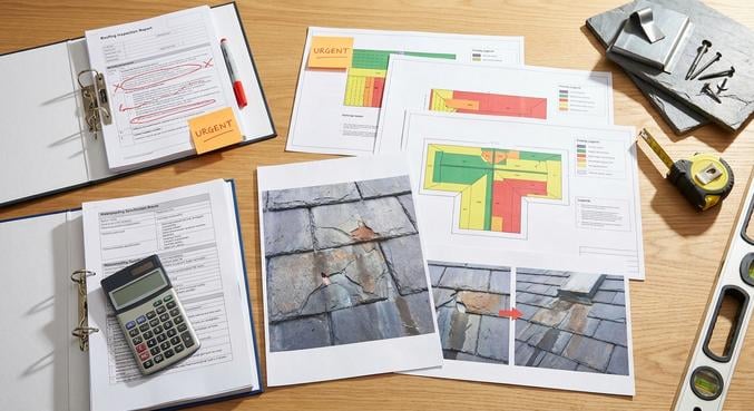 chien assis ardoises signes renovation toiture