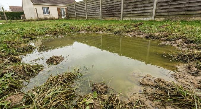 eaux stagnantes jardin obligations solutions