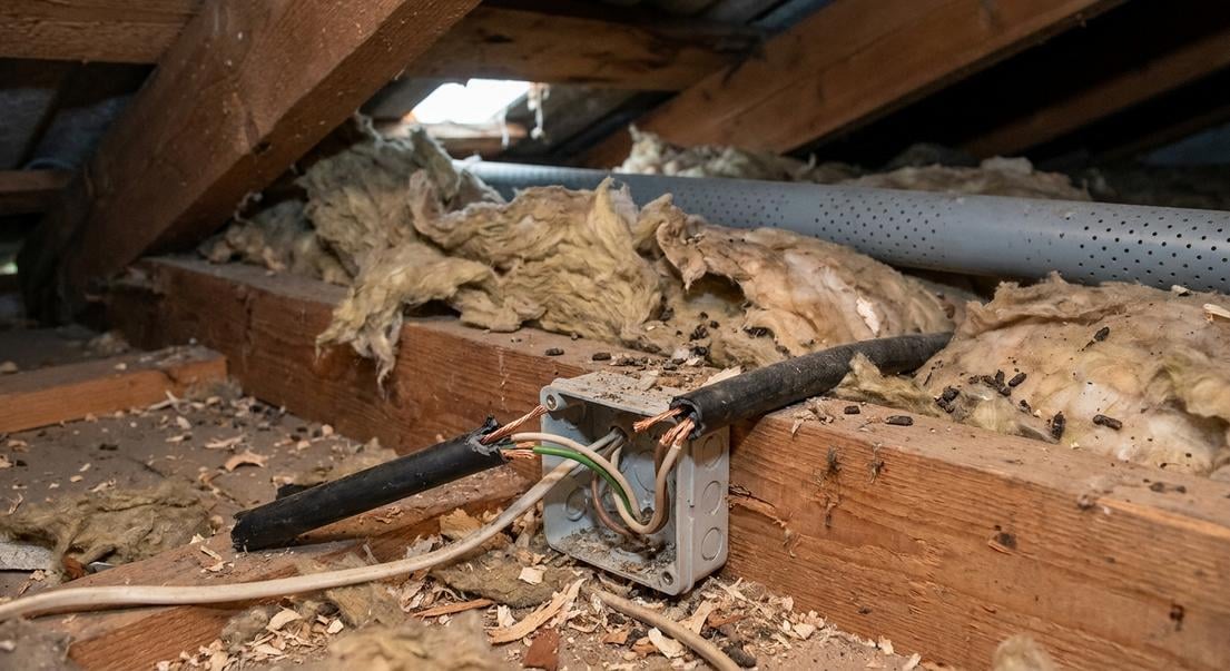 fouines combles risques isolation installation electrique