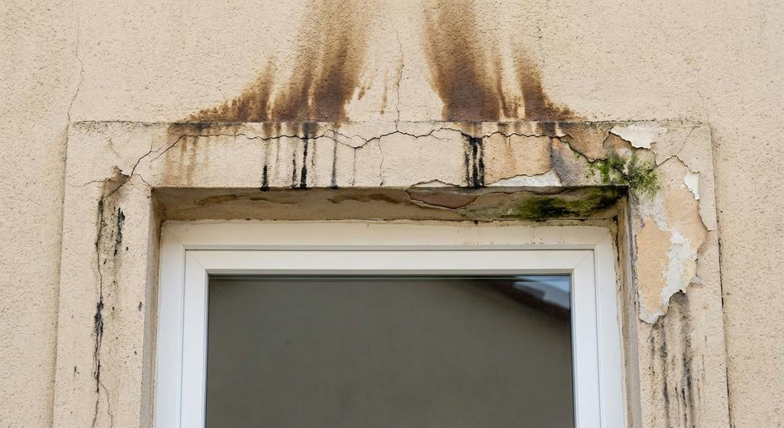 infiltration eau fenetre diagnostic
