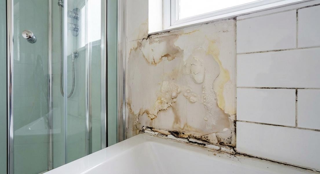 infiltration eau paroi douche reparer placo