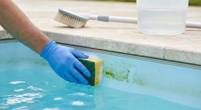ligne eau piscine verte causes solutions