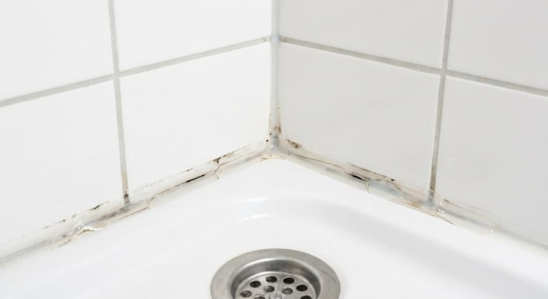 joints douche fissures reparation etancheite