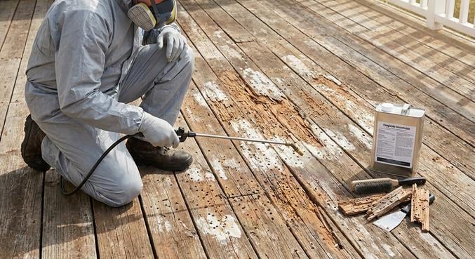 terrasse bois location entretien reparations