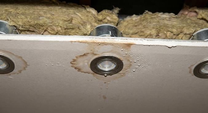 aureoles spots plafond salle bains