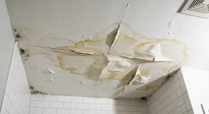 ba13 hydrofuge plafond salle bains