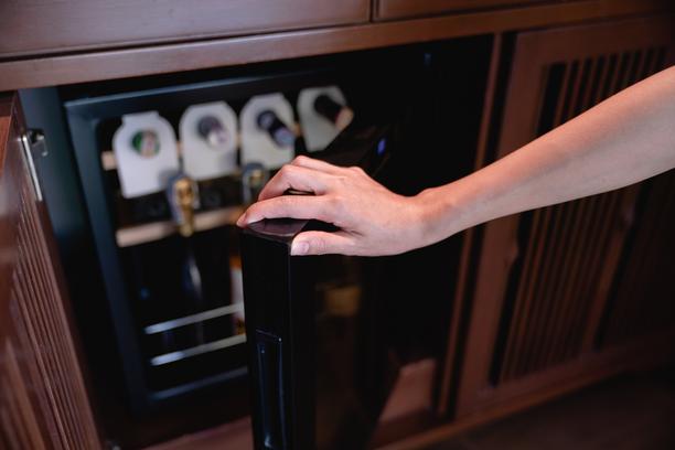 cave vin electrique equipement adapte interieur