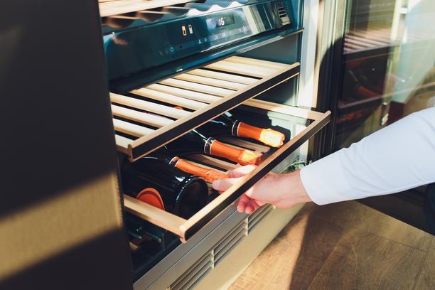 cave vin electrique equipement adapte interieur