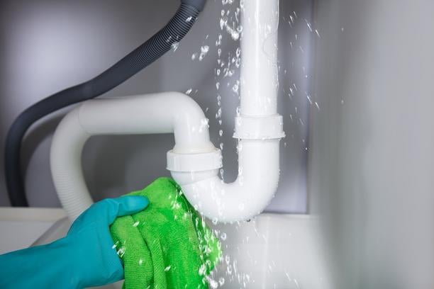 lavabo bouche destop furet solutions sures
