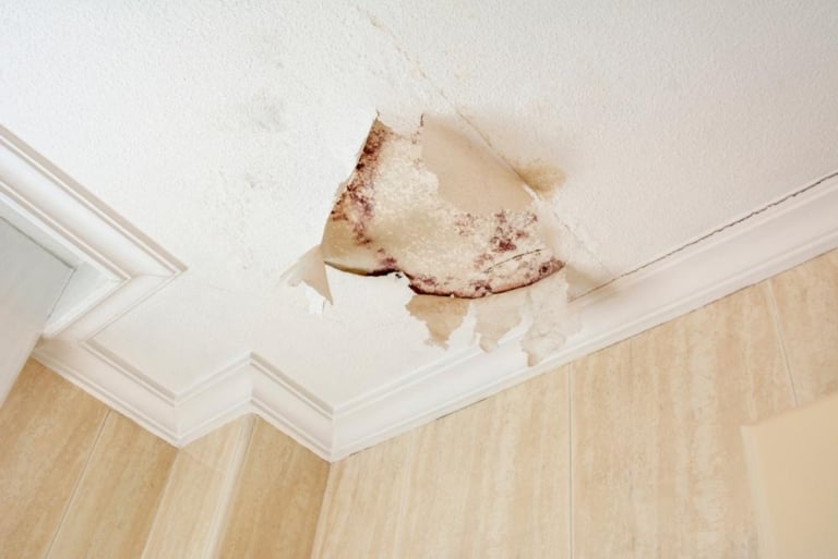 plafond degrade humidite diagnostic reparation ventilation