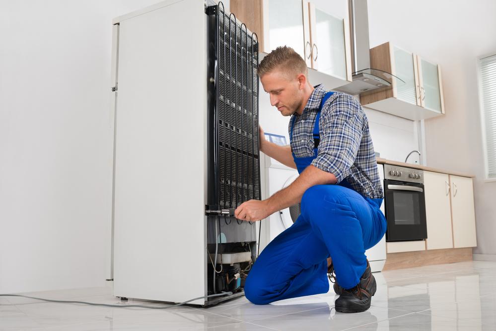 refrigerateur bruyant identifier origine bruit
