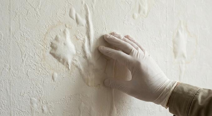 revetement mural decolle apres sous couche